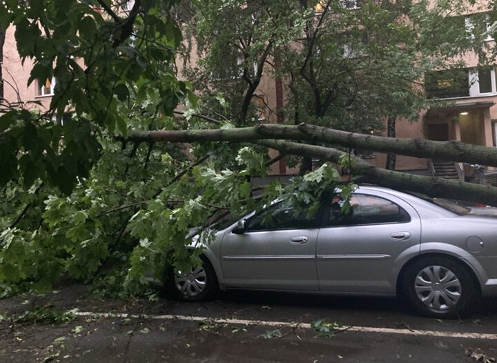 Последствия вчерашнего урагана в москве